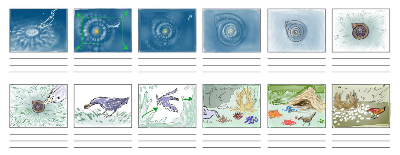 storyboard for an animation depicting the universe, a shell, and birds interacting with the shell
